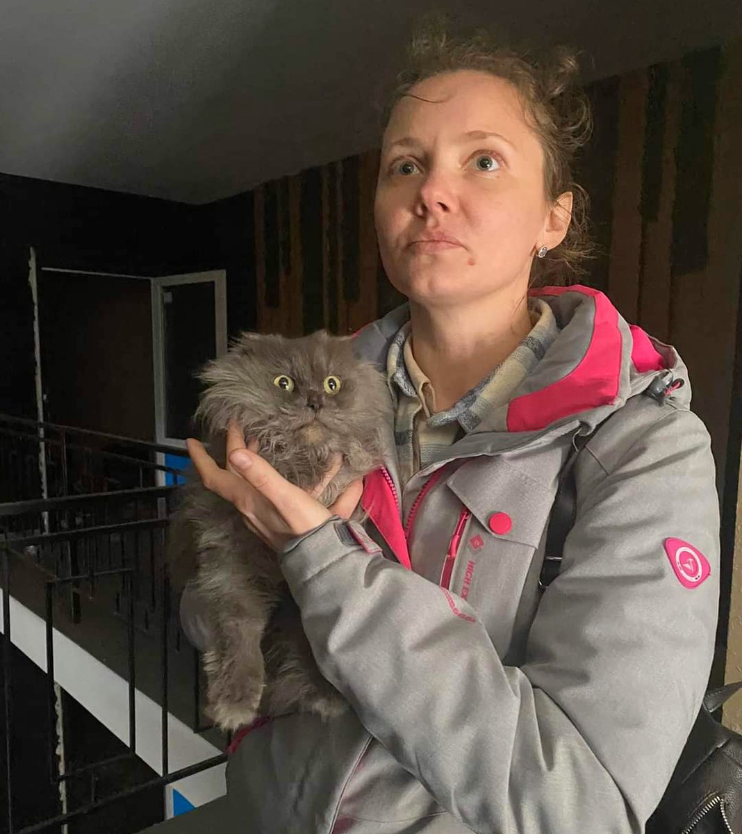 LorenzoTheCat's tweet image. This woman had to evacuate Bucha, Ukraine, when it was attacked. Her cat Sima escaped during the evacuation. For 45 days she went back to the house looking for the cat. Yesterday she found him. Photo: A. Hocpinchenko. ❤️🇺🇦❤️