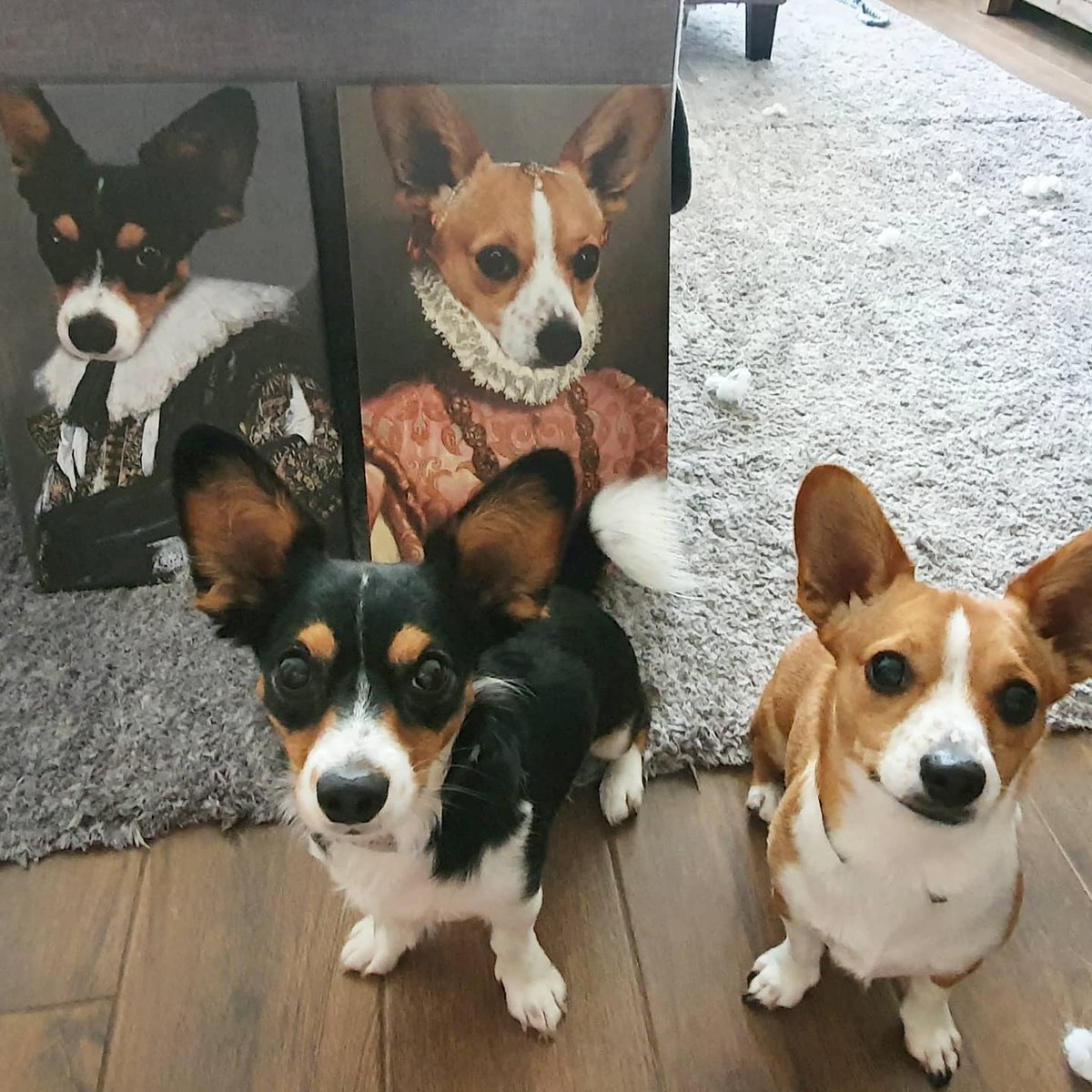 Kelly Vieira tweet media