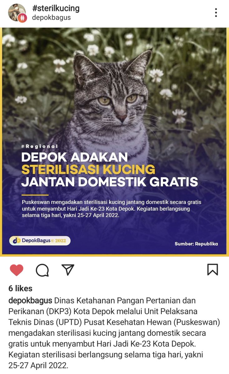catrescuedotid's tweet photo. Depok #sterilgratis #kucingjantan #infosteril https://t.co/q1QKvovXMB
