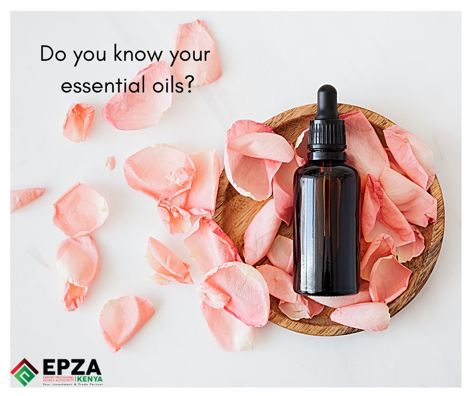epzakenya's tweet photo. Athi River Oils EPZ under the #epzprogram processes rosehip oil; an essential oil drawn from the rose plant. #KenyaEutrade #Kenyaflower @MakeItKenya @Trade_Kenya https://t.co/InUoNqmXsL
