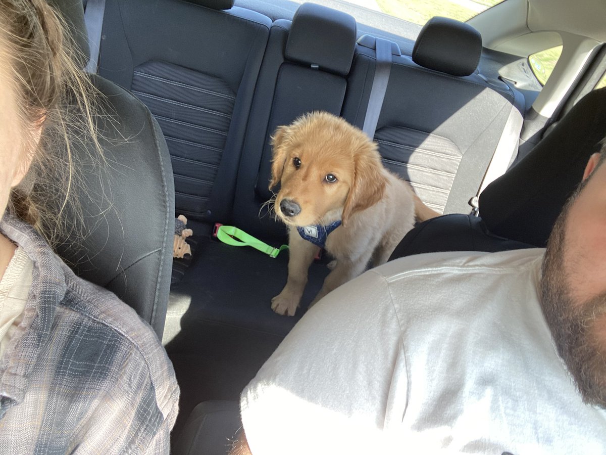 steeleygoose's tweet photo. Help! he’s getting so big 😭😭 #Romeo #romedawg #ourfirstborn https://t.co/ZleQdFXgyz