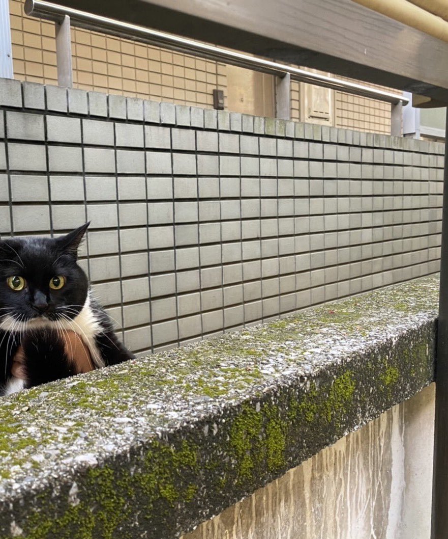 bigsiothirty's tweet photo. @yonyon33831884 あれれー？一軒家在住なのに背景自宅じゃないぞー https://t.co/U0fYj2jeUe