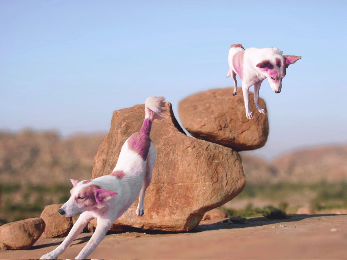 i_Dror's tweet image. Minting soon!! Original photography &amp;amp; art 🙏🏻
#NFTProject #NFT #originalart #NFTCommunity #DigitalArtist #idror