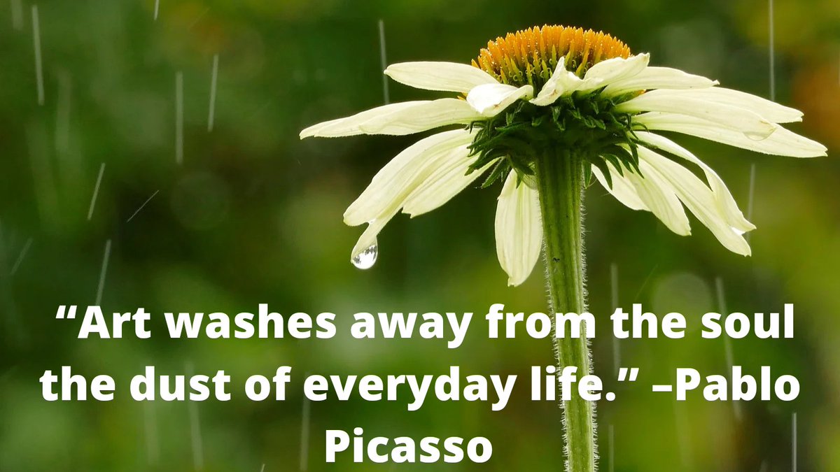 ArtNFTIndia's tweet photo. “Art washes away from the soul the dust of everyday life.” –Pablo Picasso https://t.co/HrAxWoSbzs