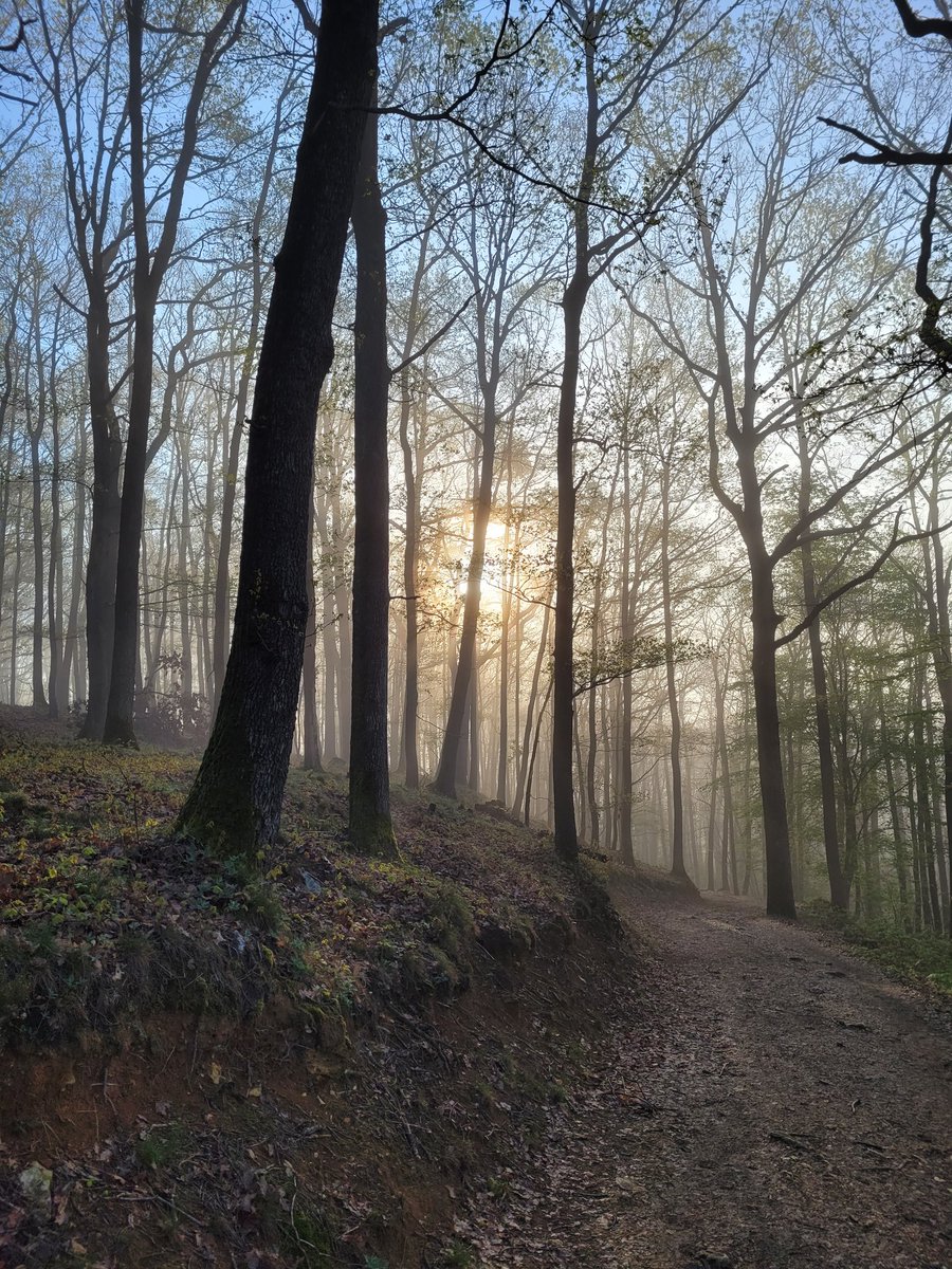 Bonjour, très belle journée