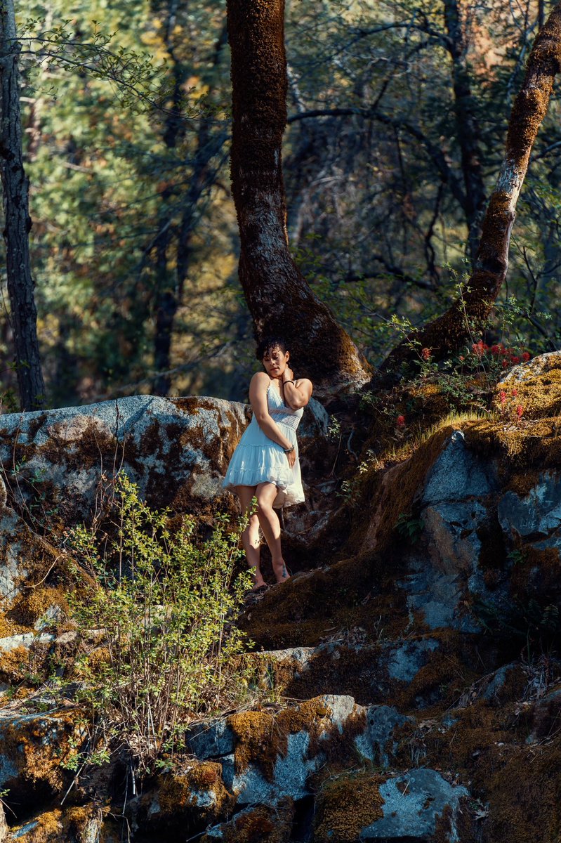 jnpofficialsf's tweet photo. Met a Forrest fairy #waterfall #foto #conematic #sonyshooter https://t.co/0LJN2Zoh5T