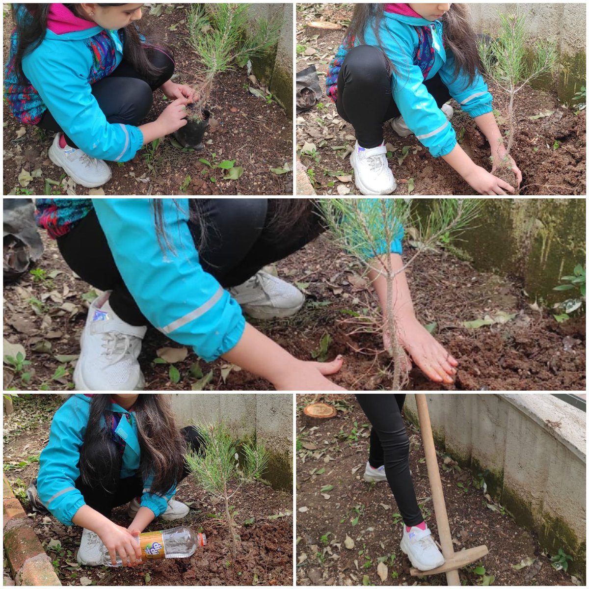 Tree Lovers Planting Trees etkinliğimiz. 
Nesibe Mat-Mezitli Muhittin Develi İlkokulu 4-F sınıfı 
<a href="/nesibemat/">Nesibe Mat</a> 
<a href="/MezitliDeveli/">Mezitli Muhittin Develi İlkokulu</a> 
<a href="/eTwinningMersin/">eTwinning Mersin</a> 
<a href="/eTwinningDestek/">eTwinning Projects Dissemination</a>