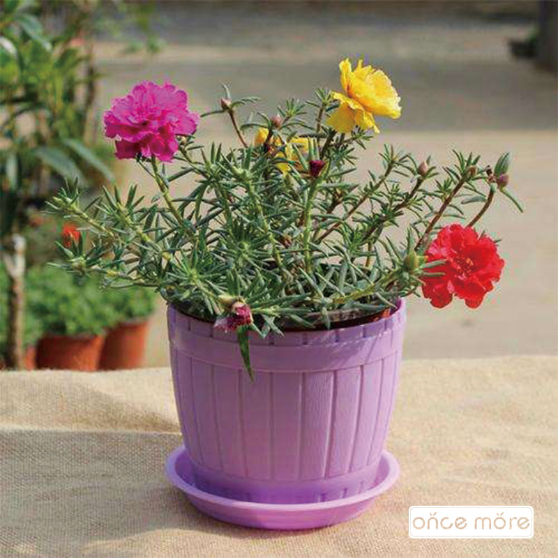 IonceMore_com's tweet photo. I hope to use the garden bed to plant a large area of flowers
#oncemoregarden #gardendesign #oncemoregardenbeds #metalgardenbeds #gardenbeds #raisedbeds #raisedgardenbeds #raisedbedgardening #growyourown #gardentotable #veggiegarden #vegetablegarden 
https://t.co/jfa3qyASSO https://t.co/RRkaUAk1jg