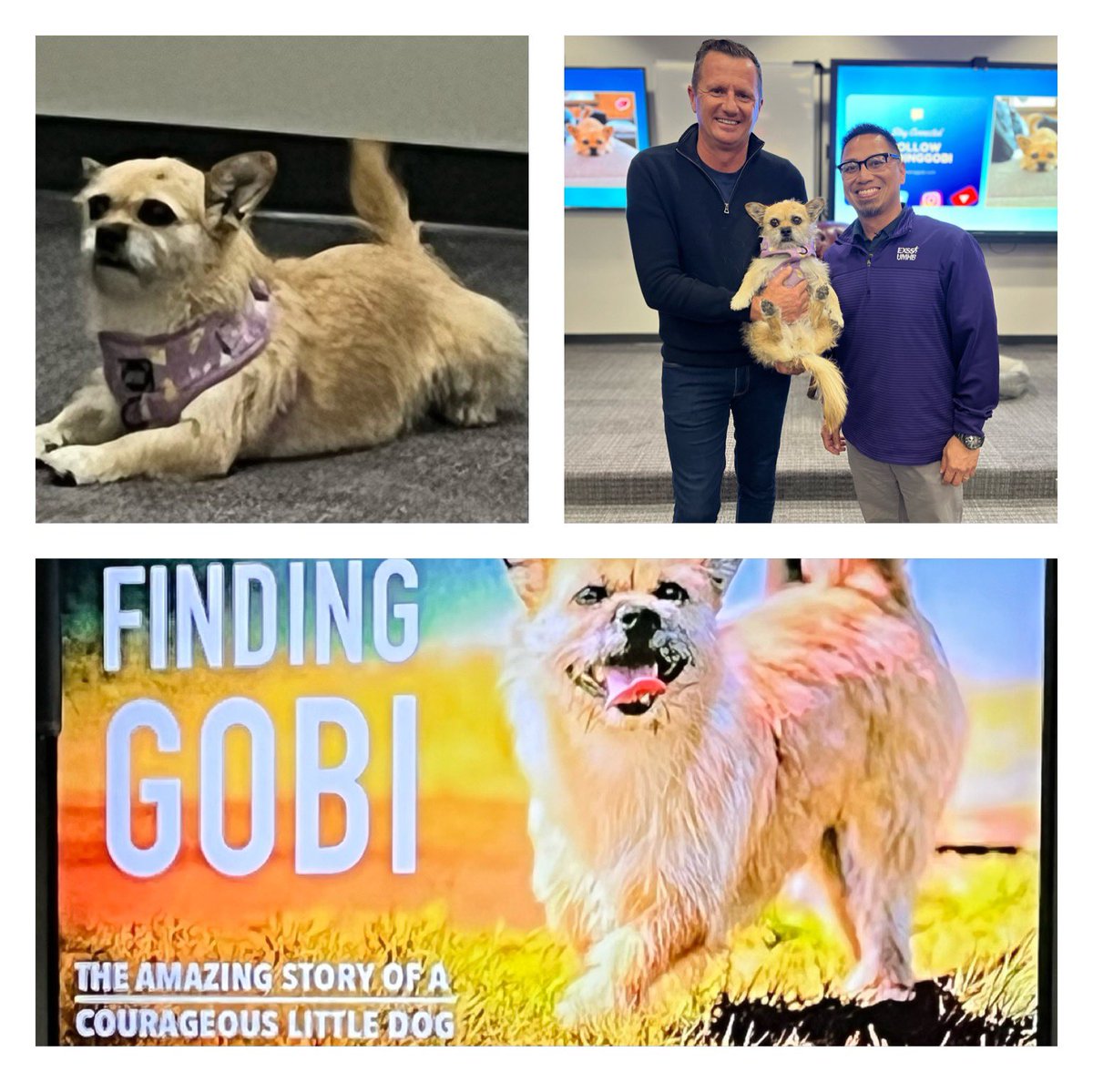 lestersombito's tweet image. Amazing story, Dion &amp;amp; Gobi….running creates life changing experiences.  @ARodeffer @EXSS_UMHB thank you for this opportunity