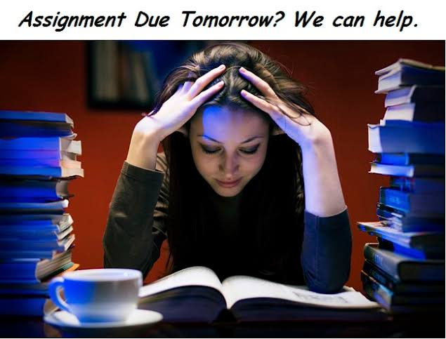 Need help completing your #Essay assignment? Hmu
 @KhatebExams

#essaypay
 #assignmentdue
#studentmemes #collegestudentproblems #essaywriter #UkraineWar #essayhelp #lombaessay #assignmentwriting #collegeessays #writemyessay #essaycompetition
Assignment due Monday
#UK #USA #UAE