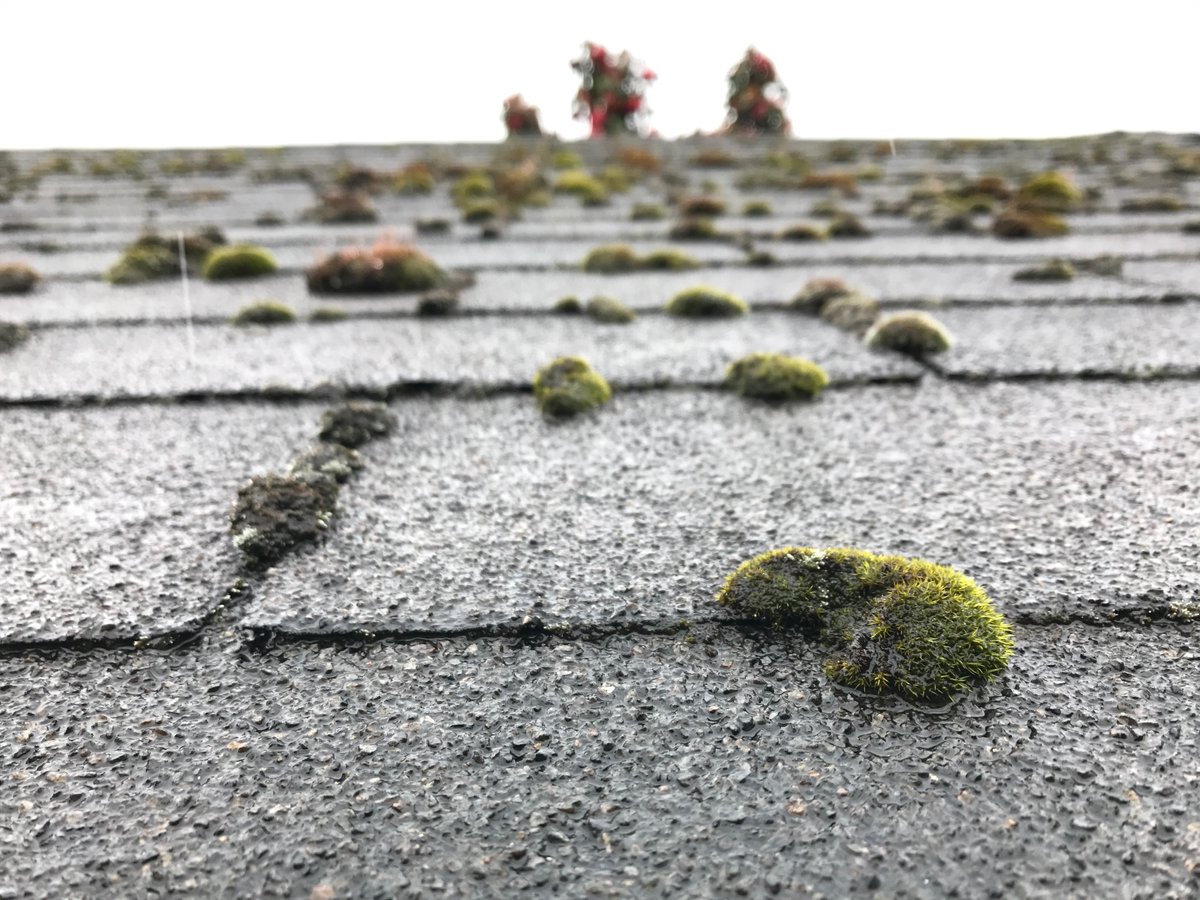 HomeOwnersClub_'s tweet image. Good time to pay some attention to your roof. Having debris blow off, moss treated, checking for any repairs needed or getting bids to replace.

#Roofing #SpringProject