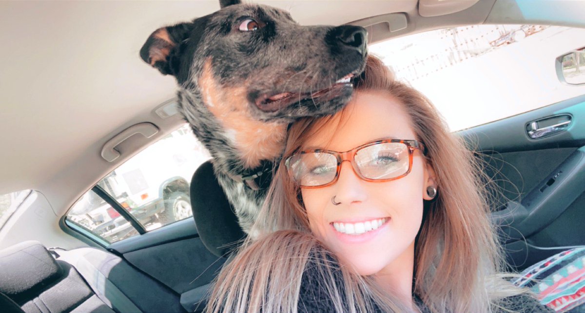 PerryRaegan's tweet image. He stayed at nana’s and played with another wild Hearted heeler but him lives his momma🤍⚡️