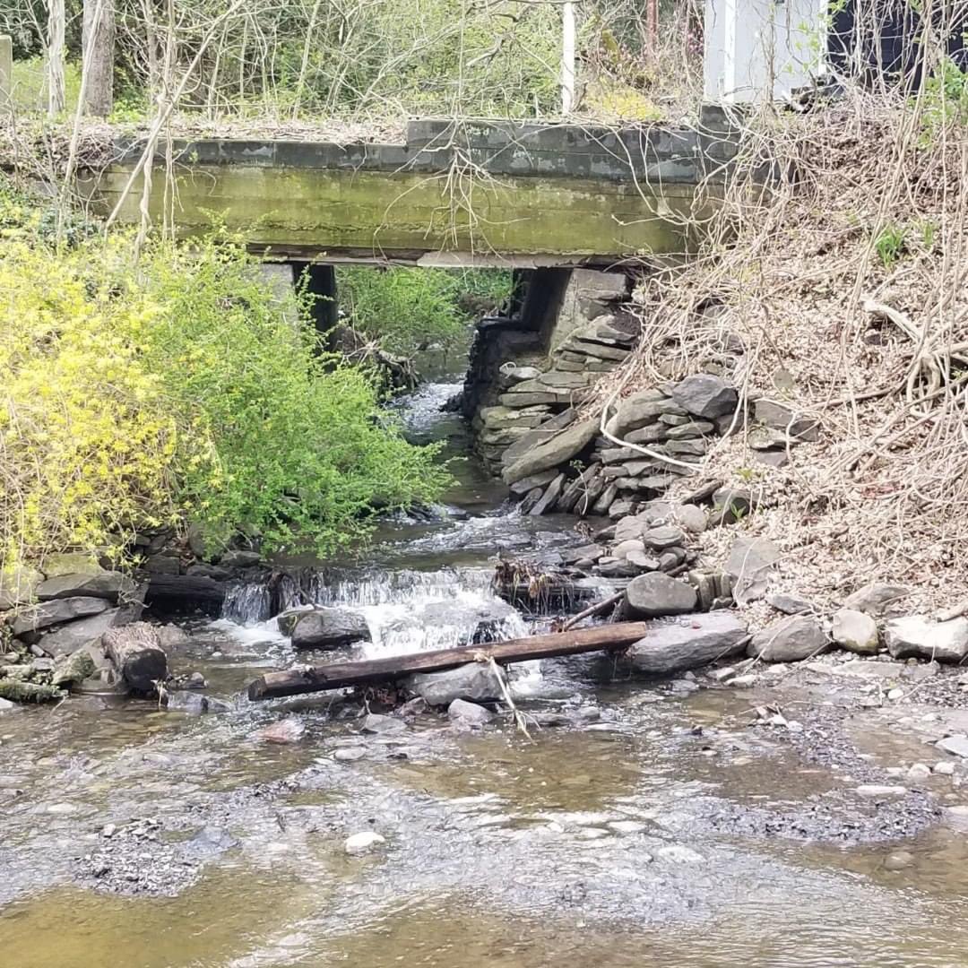 unitycharter's tweet image. .@unitycharter enjoyed a little free library during our canal walk today! #unitywolves @CharacterDotOrg @NJPCSA @DrAllenMcMillan @DrJB__