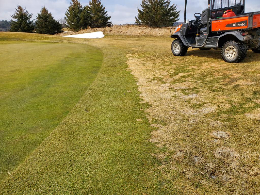 bowiedenis's tweet photo. A look how snow mold protection works in Muskoka! https://t.co/stbm5W72oQ