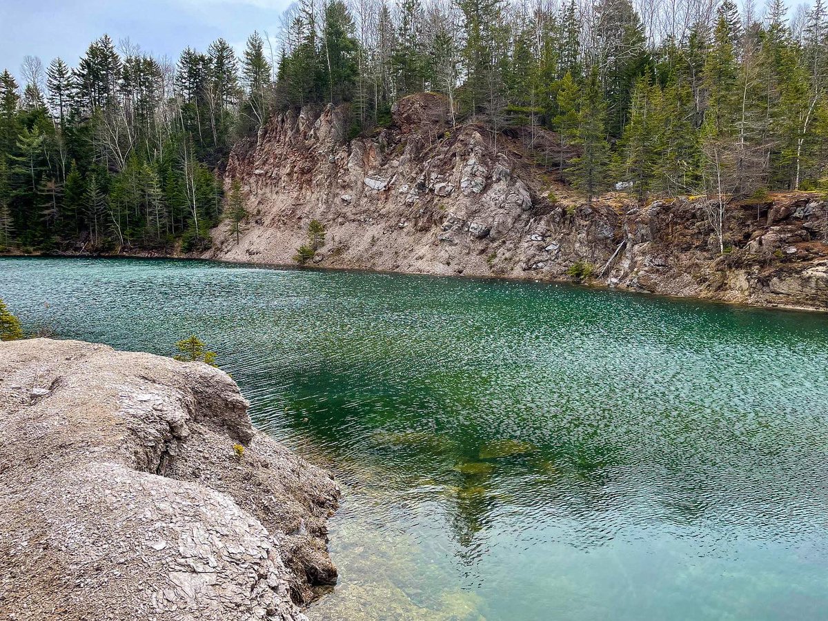 Suzy The Explorer tweet media