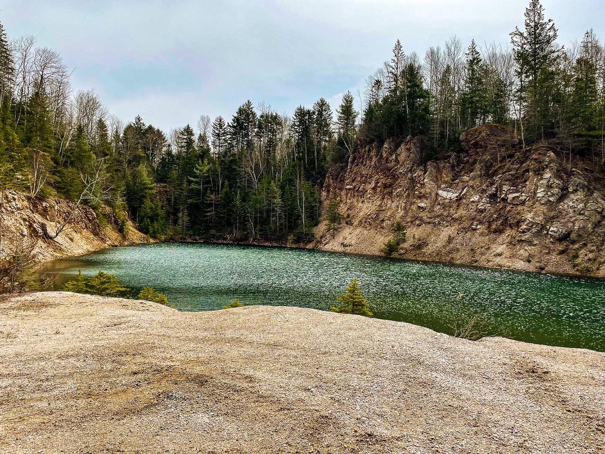 Suzy The Explorer tweet media