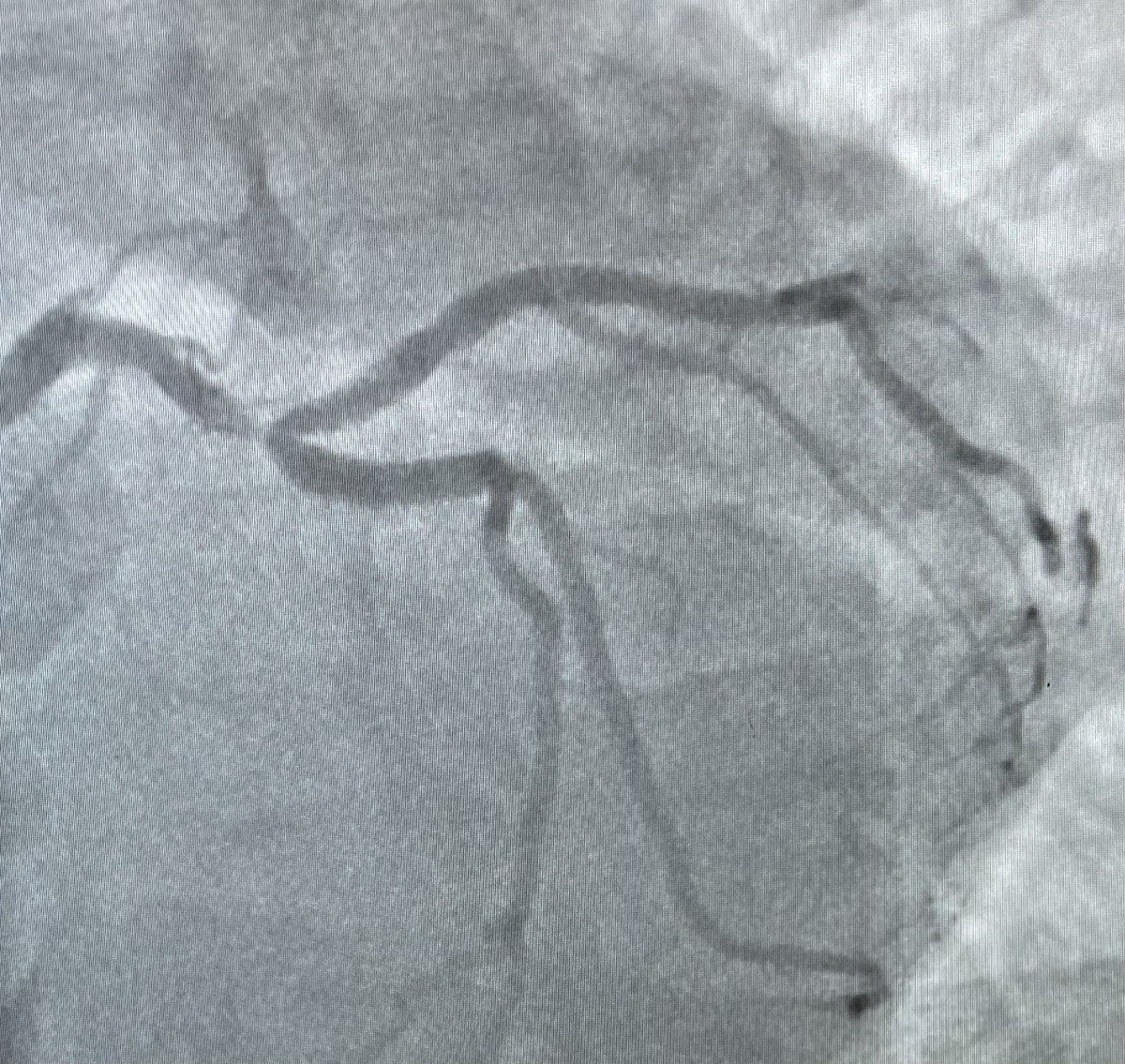 Sachin Goel tweet media