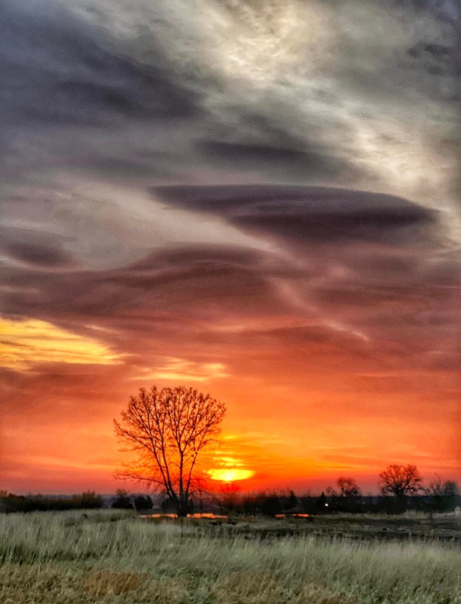 DenverChannel's tweet photo. "Sunrise today" 🌅

📸: Salvatore Giovanni La Ferlita | Discover Colorado Through Your Photos https://t.co/Xu0YVluzdh
