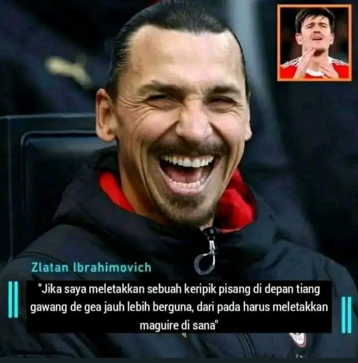 hai fin tweet media