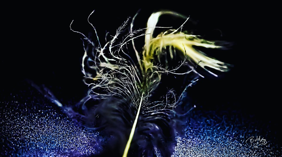 ob_smith's tweet image. #abstractartist #artist #ArtistOnTwitter #art #artwork #macrophotography #PhotoChallenge2022April #canonphotography #canoncamera