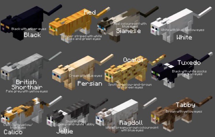 _Magazine_01's tweet photo. screw zodiac births, which minecraft quat if you’re favorite https://t.co/p5XmKPvAm7
