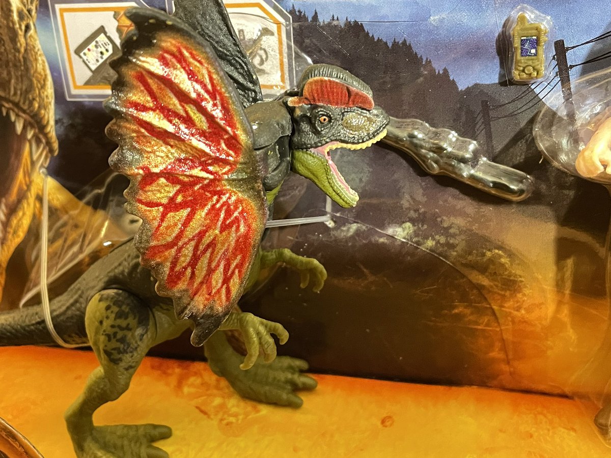 JurassicAttic's tweet photo. Truly the best paint application of the #AttackPack / #FerociousPack #Dilophosaurus yet! The detail on the frill, crests, and snout are perfection! Pumped for her return to the big screen! 
#JurassicWorldDominion 
#JurassicCollector
#Dilophosaurus https://t.co/Q3A3QUosc2