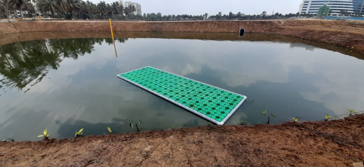 AMalligavad's tweet photo. Floating Wetlands in my lakes…Helping to remove excess nutrients in water and helping to rebuild ecosystem 🦋🐝🐟🕊 https://t.co/DDzPgF0Vib
