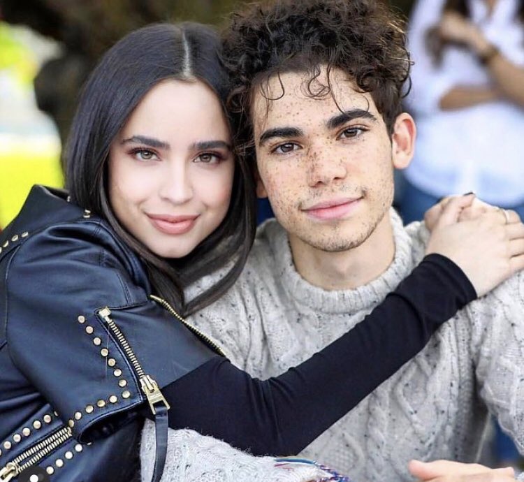 According to People, The Cameron Boyce Foundation will host a “Cam for a Cause” event on May 18 to help raise awareness and search for a cure for SUDEP.

 The event will feature Dove Cameron, Sofia Carson, Kenny Ortega, Debby Ryan and other friends.