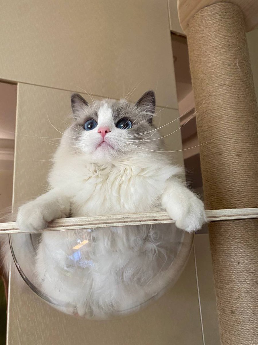 tebiedeni's tweet photo. One pot stew?🤣🤣 https://t.co/2T37qTYfMX
