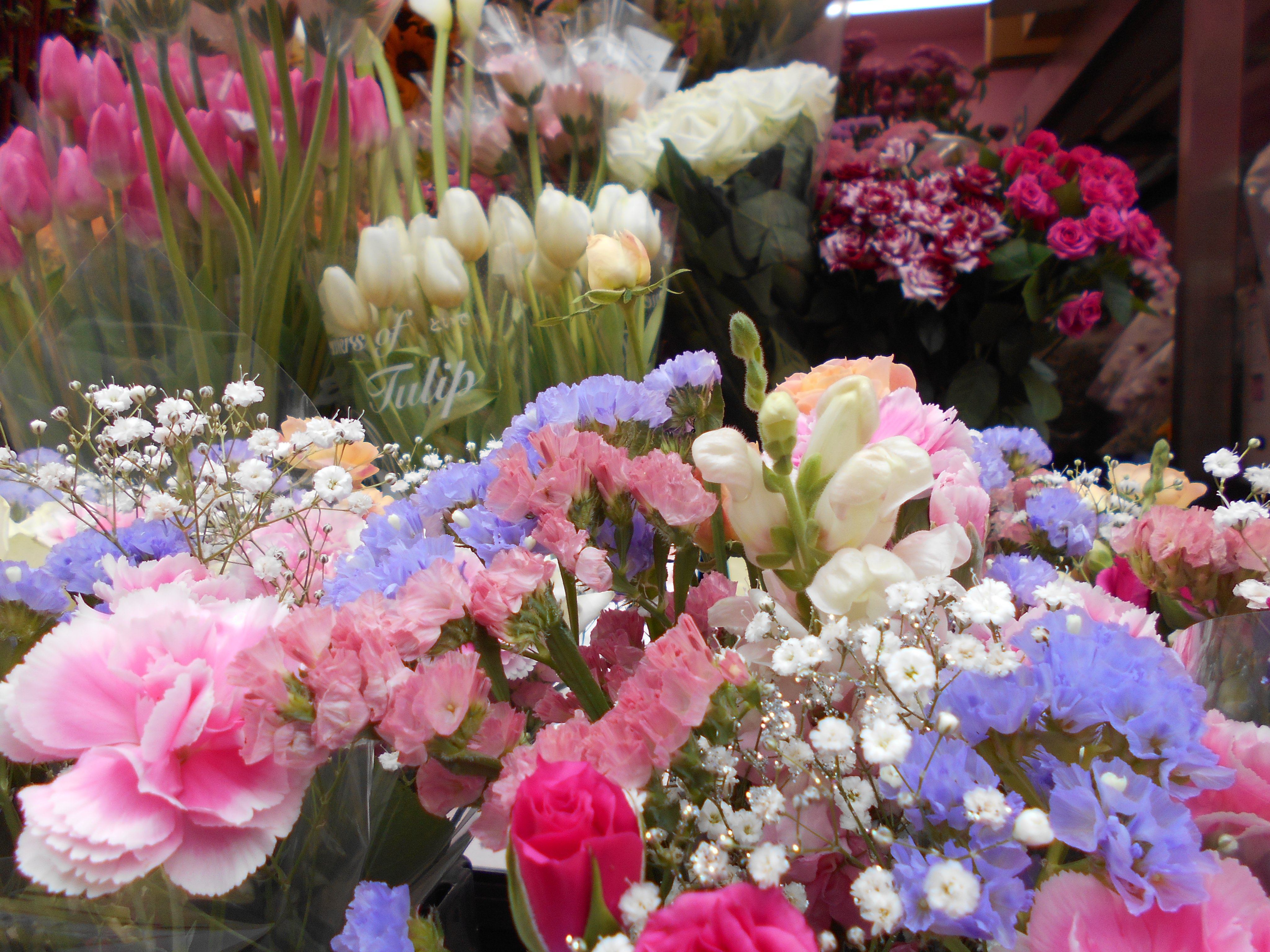 フラワーマルシェ Flowermarche01 Twitter