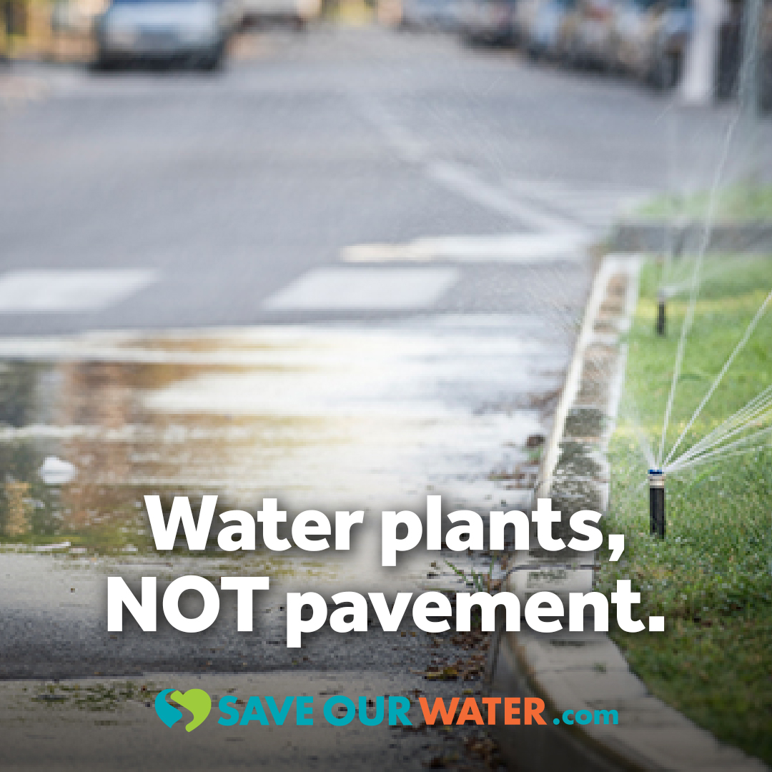 JCSDistrict's tweet photo. As drought conditions worsen, here's a trick to save water 💧 while keeping your yard healthy: adjust your sprinklers to water only where you need it. Runoff can unnecessarily waste water and money. https://t.co/fK6EdHJIo2
#DroughtResilientTogether #JCSDStrong #SaveOurWater https://t.co/5SbxtwQBsF