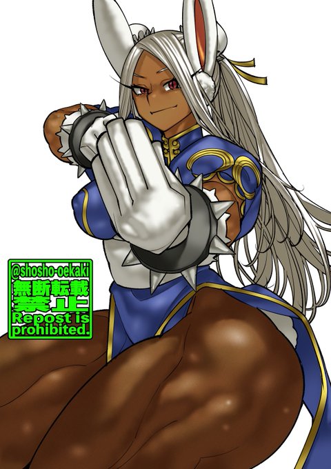 再描画春麗ミルコ 