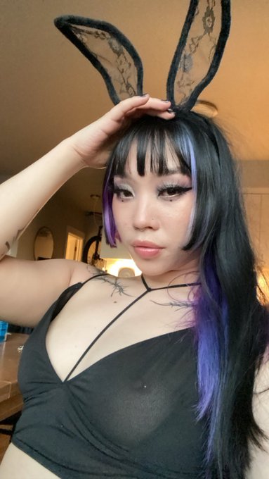 It&rsquo;s your favorite blazed bunny🐰 https://t.co/mBfbA20TzA