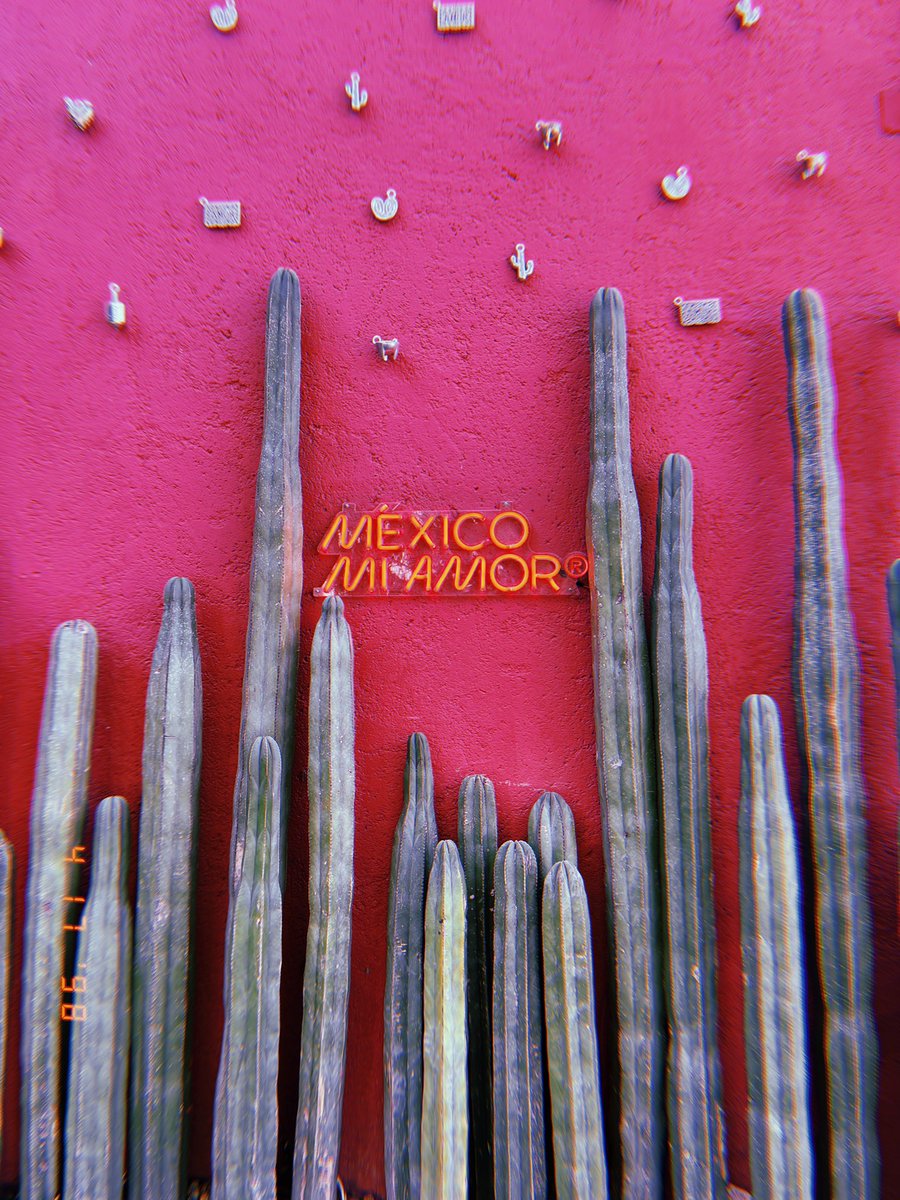 alexa__valles's tweet photo. Mexico City ❤️ https://t.co/pg4eBfHJY5