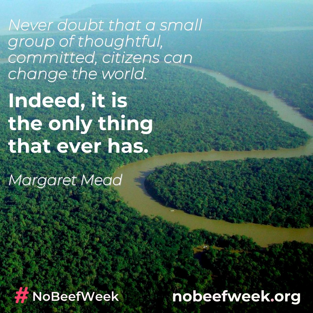 #NoBeefWeek tweet media