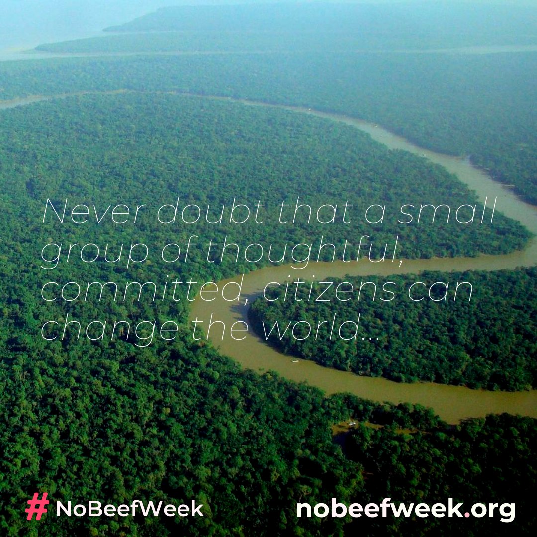 #NoBeefWeek tweet media