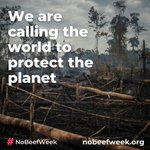 Photo by #NoBeefWeek (@NoBeefWeek)
