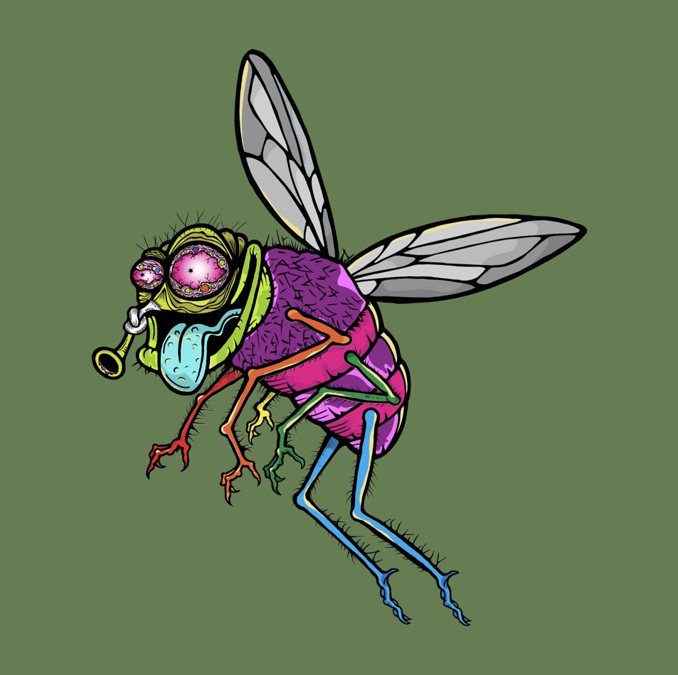 funky_flies's tweet photo. ๐ชฐ๐ฅ 24 HOUR HUMP DAY FLOOR PURCHASE SPECIAL (Wednesday) ONLY - Starting at 12:01 am - Every wallet that buys a fly wins a free fly (until supplies last) for the entire day. I will base this on the sales bot in discord and activity on OS๐ชฐReady # Set # Go!!! https://t.co/Qvh0fSpbPm