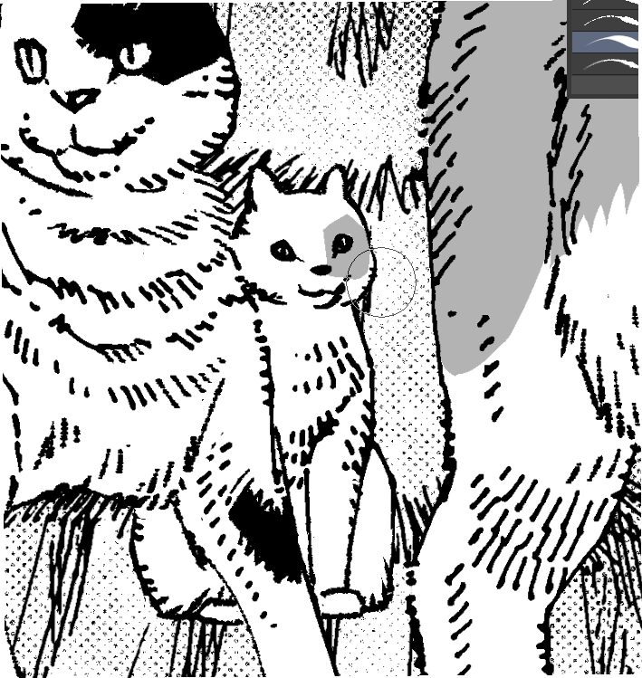 チラ見えの猫 