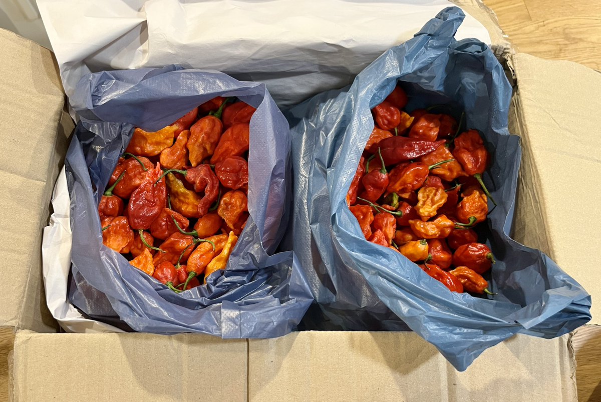 ThatDaengSauce's tweet photo. 1.7KG of pleasure..(or pain depending ๐คฃ) just arrived from the farm. DM us if interested in fresh ghost chilies or our line of Micro Batch Hot Sauces. ๐ถ๐ถ
#ghostchilies #ghost #thaiproduce #buylocal #BKK #Spicy #extremeheat #microbatch https://t.co/caBGNsMMtB