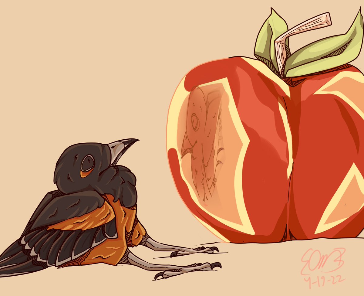 Its Oriole hours baby <3
#animalart