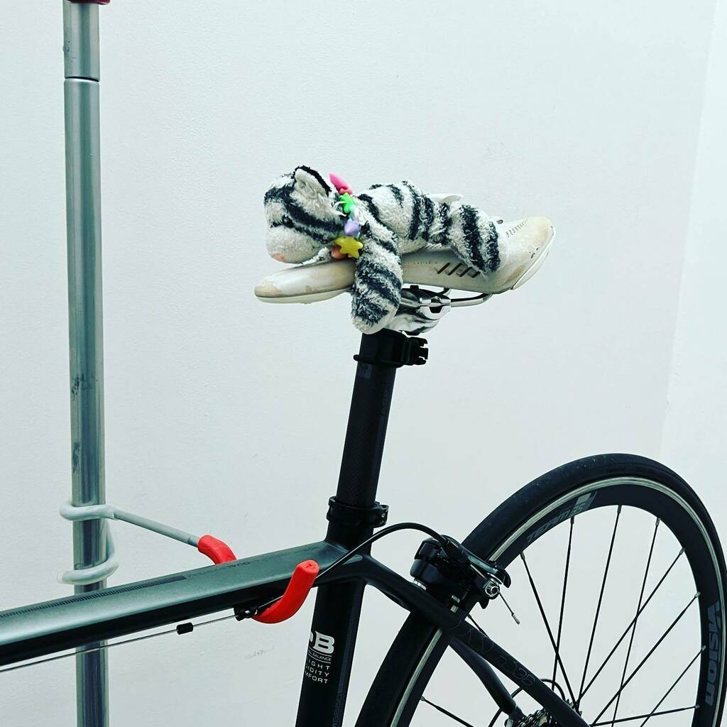 zorocaster's tweet photo. There was a cat resting on my bike this morning…. #roadbike #argon18 #bicycles #cycling #shimano #visiontechusa https://t.co/05bGy7CPaS https://t.co/58EE8utoh9