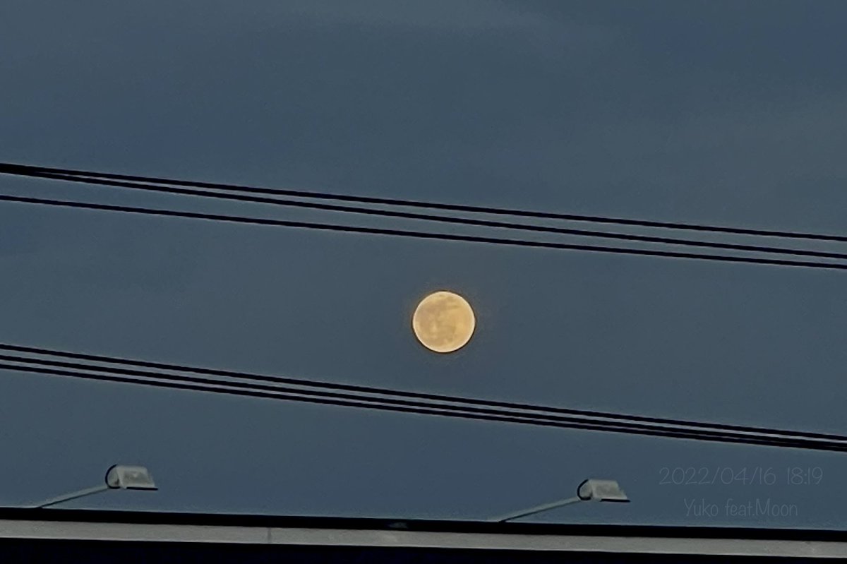 u_korinko's tweet photo. 月が昇ってきた!
逸る気持ちを抑えながら
急いで帰ろう
日付が変わって迎える満月は
もしかしたら…雲の中かも(ノд-。)
だからこの瞬間が私の満月です。
2022/04/16
#カコソラ #カコツキ #月 #満月 #Moon
#FullMoom #PinkMoom #月に想いを
#写真で伝えたい私の世界
#ファインダー越しの私の世界 https://t.co/pqoq6b62Cd