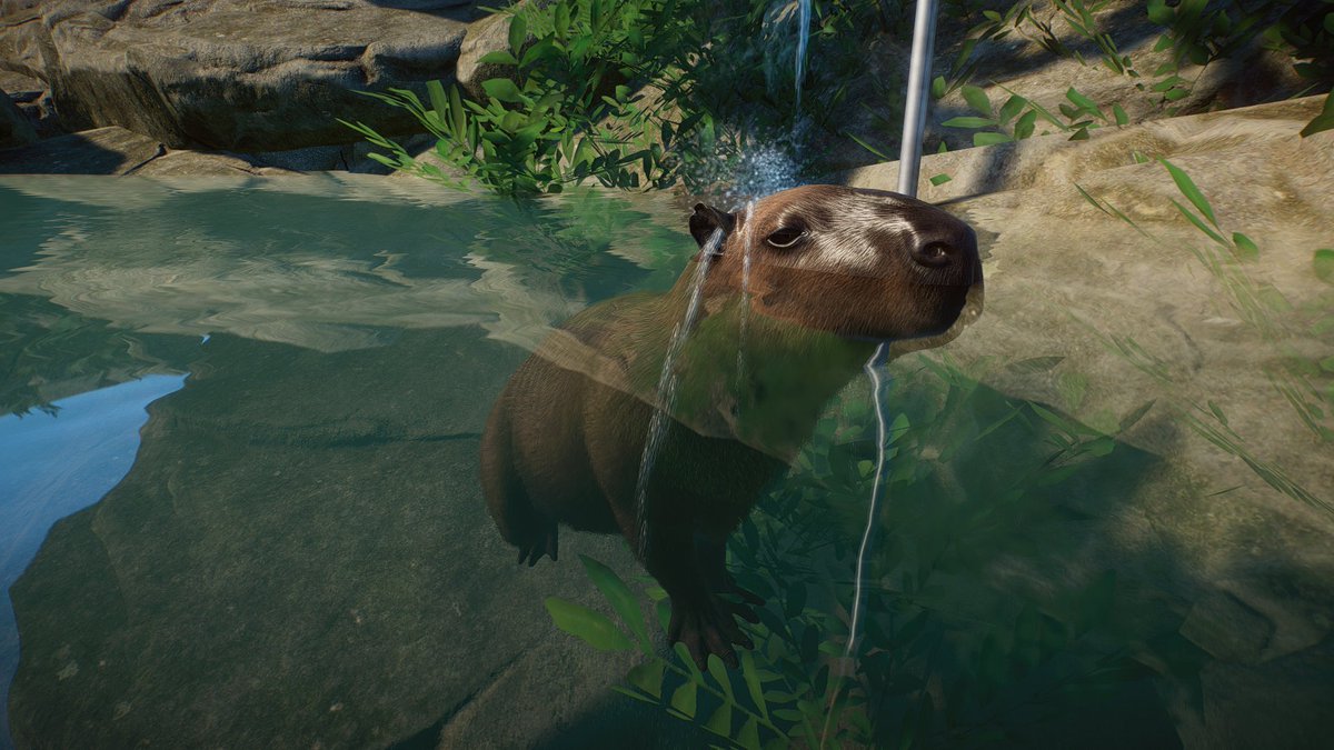 ViriCC_'s tweet photo. Capy rรฉlax ๐ฅฐ.
#Capylove #PlanetZoo #PlanetZooGame
@PlanetZooGame https://t.co/mSsxckxqGM