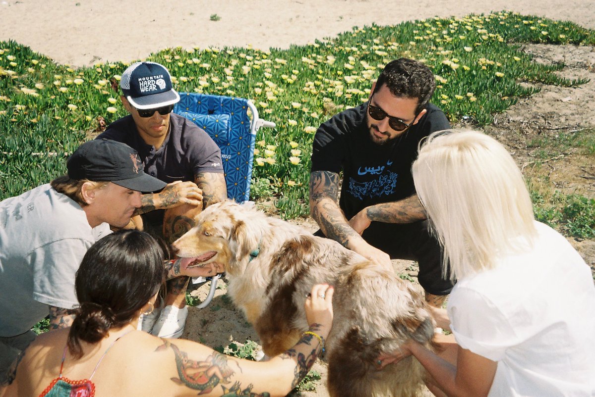 amyammmy's tweet photo. My friends dog got diagnosed with leukemia and I was lucky enough to hang with him on his last day on earth ⭐️💘 👼  even though he was so tired he was one seriously beautiful boy https://t.co/wHTiKz5Yku