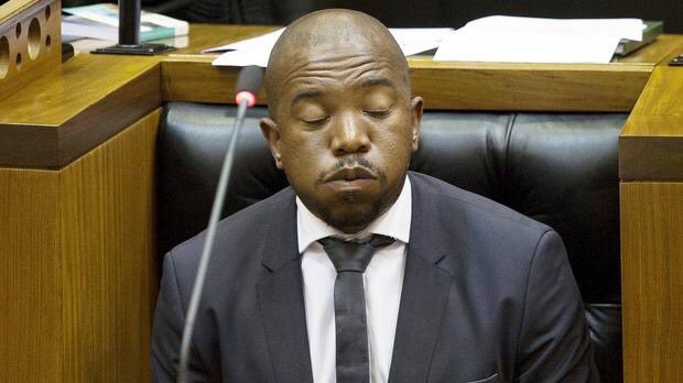 katli_mathule's tweet photo. Julius Malema once bought a cabbage farm, nice farm,well run, for about 4.5m and within 3 years it was dead. But somehow "our" people believe he can run a country when he couldnt manage a cabbage farm. "Our" people, neh! https://t.co/DA2lFpgZ25