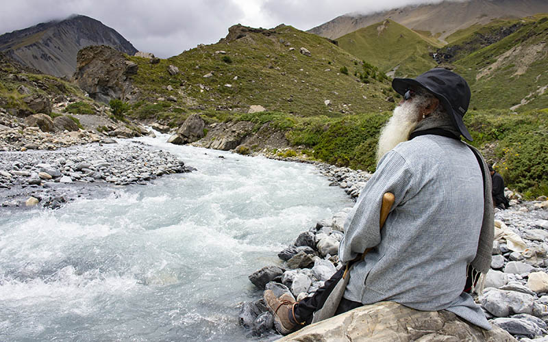 The more you are exposed to the unity and the harmony of creation, the more your mind becomes Inclusive and Harmonious. #SadhguruQuotes