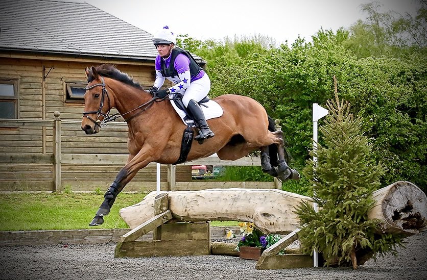 JockeyRach's tweet photo. My little prince doing his favourite thing!! Can’t wait to get back to this 😃

#arenaeventing
#titan
#exracehorse https://t.co/Yx24CtX7Zs