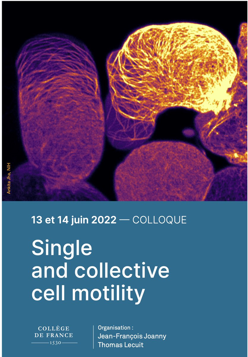 TLecuitLab (@lecuitlab) on Twitter photo Please RT: Announcement for a conf. on cell motility organized with JF Joanny on 13-14 June <a href="/cdf1530/">Collège de France</a> in Paris. Awesome list of speakers here: tinyurl.com/4cbctxuf. It's free, no registration. Video recording online soon after for those from far away. <a href="/CellMigration/">Cell Migration Seminars</a> Please RT: Announcement for a conf. on cell motility organized with JF Joanny on 13-14 June <a href="/cdf1530/">Collège de France</a> in Paris. Awesome list of speakers here: tinyurl.com/4cbctxuf. It's free, no registration. Video recording online soon after for those from far away. <a href="/CellMigration/">Cell Migration Seminars</a>