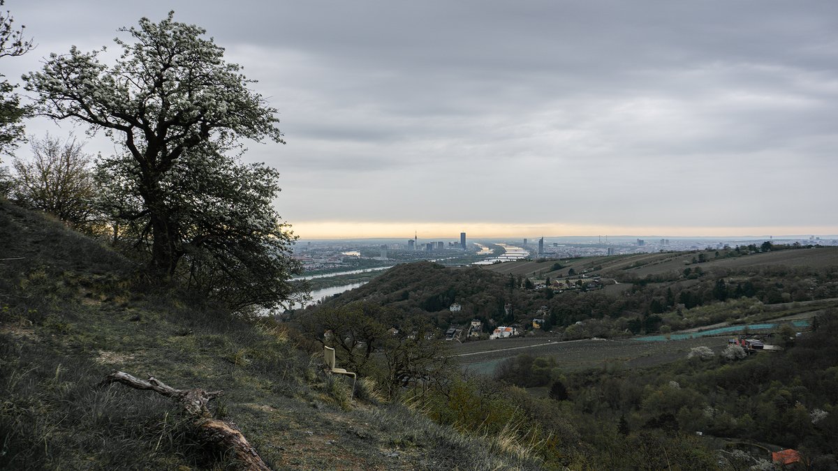 Rainy days have something. See ya.
#vienna #austria #view #photography